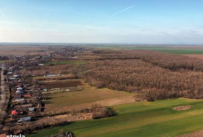 Spațiu comercial, în Nuci - 19