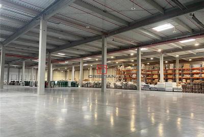 Depozit/hala/spatiu industrial Constanta - Agigea, Constant - 4