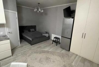 Apartament cu 1 camera in zona Sagului - 3