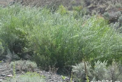 Vand apartament in Oradea - 3