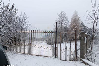Casă cu 4 camere cu Teren 4863 Mp în Coșna - 7