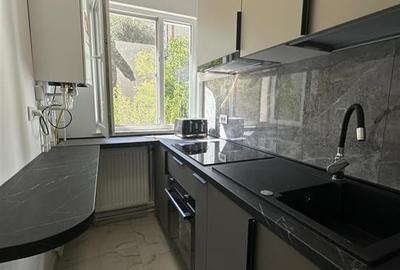 Inchiriere  Apartament cu 2 camere Alexandru cel Bun - 3