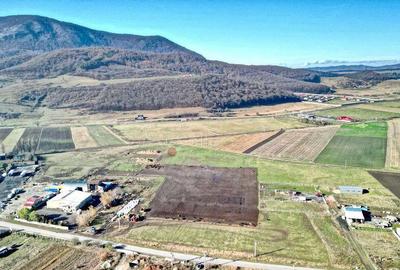 Teren Industrial cu P.U.Z. - 7