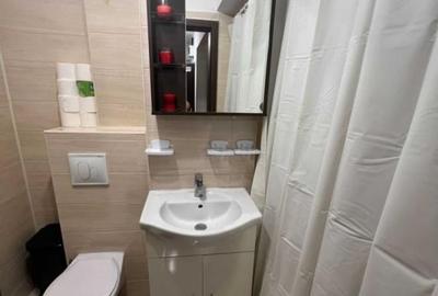 Apartament cu 2 camere decomandat, mobilat în Doamna Ghica - 8