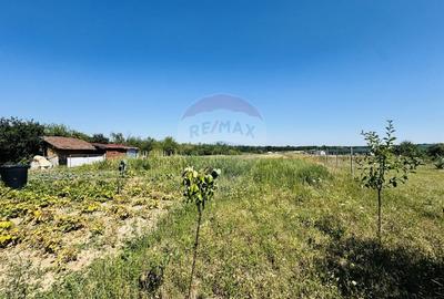 Teren Construcții intravilan de 6210 mp, în Apateu - 23