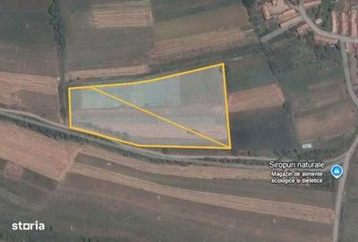 Teren de 17000 mp, în Râmeț - 3