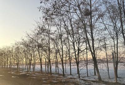 Spațiu comercial, în Hărman - 7