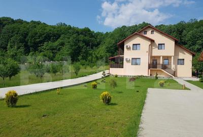 Vila 327 mp, teren 3173 mp, Cobia - 13