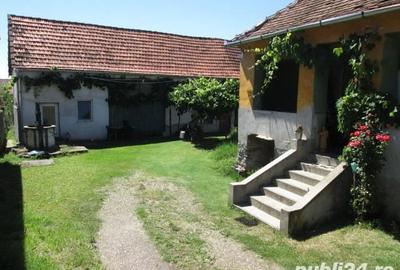 Casă cu 4 camere cu Teren 70000 Mp în Geoagiu - 1