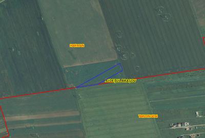 Teren agricol extravilan de 5000 mp, în Tărlungeni - 2