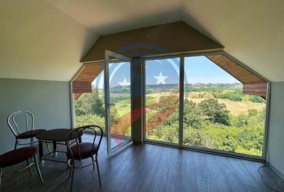 Vila cu 6camere de vanzare in Carcea/Dolj - 3