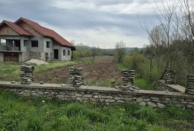 Casa se vanzare, comuna Balesti, sat Cornesti - 4