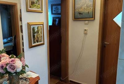Apartament cu 3 camere parter inalt Zona Lidia-Drubeta. - 2