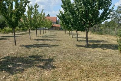 Casa de vanzare in Cuvin - 3