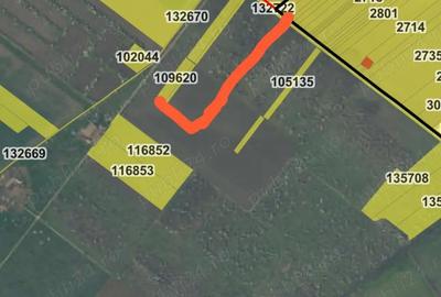 Teren de 75000 mp, în Central