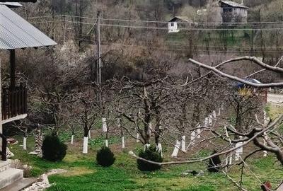 Casă cu 3 camere cu Teren 2800 Mp în Boțești - 6