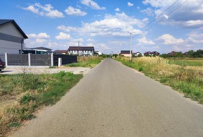 Teren de inchiriat, 5000mp 7200mp Domnesti - Ilfov ,stradal - 1