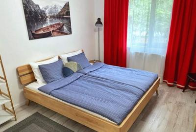 2 camere in zona Costin Georgian - 1