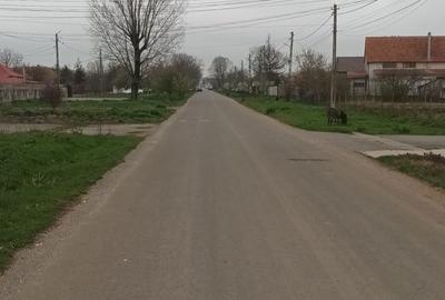 Spațiu comercial, în Topraisar - 2