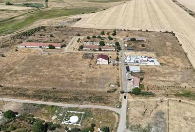 Teren de 90000 mp, în Sânandrei