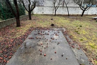 Casă cu 4 camere cu Teren 750 Mp în Central - 8