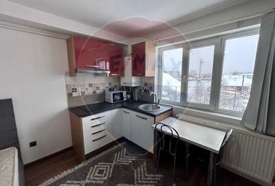 Apartament cu 1 camere nedecomandat, mobilat în Săsar - 3