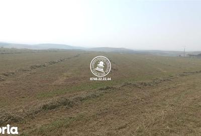 Teren de 6600 mp, în Rediu - 4