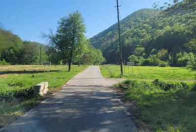 Vand Casa la tara cu 5 Ha de teren in jud Hunedoara - 1