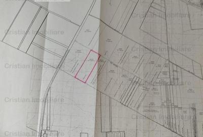 Teren intravilan de constructii Chercea St - 30000 mp cu 50m - 3