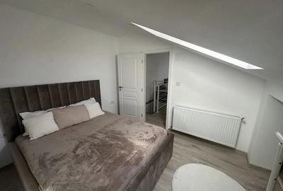 Apartament cu 4 camere decomandat în Calea Urseni - 10