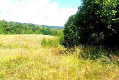 Teren de 10000 mp, în Șeica Mare - 4