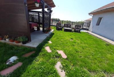 Casă cu 6 camere cu Teren 2656 Mp în Cenei - 4
