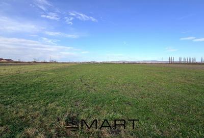 Teren Extravilan 15.000 mp Prejmer - 4