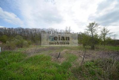 Teren Construcții intravilan de 3200 mp, în Snagov - 8