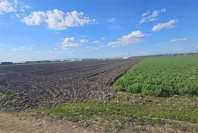 FILM! Teren intravilan, 10.000 mp, Grivitei, Brasov - 9