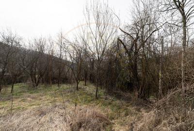 Teren de vanzare 1221 mp in Budeasa Mica, zona lini? - 9