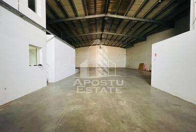 Spațiu industrial, de 600 mp, în Micălaca - 2