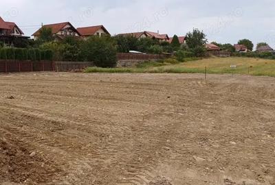 Teren de 3766 mp, în Nazna - 1