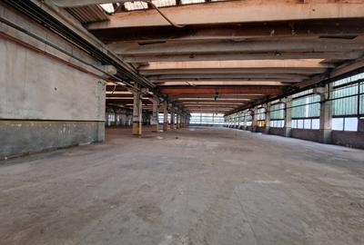 Hala industriala  InCity (3000 kw)+ birouri, Tatarasi - COMISION 0% - 13