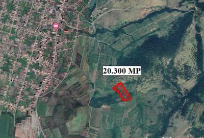 Teren de 20300 mp, în Șiria