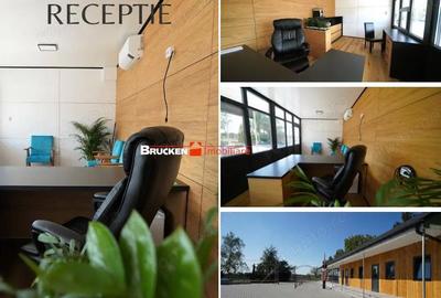 Spațiu comercial, de 100,000 mp, în Sarcău - 7