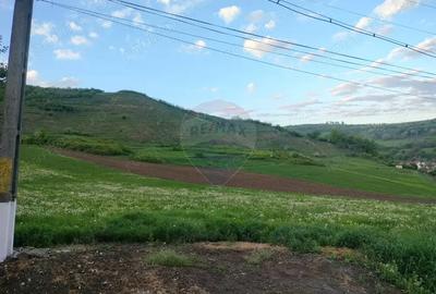 Teren de 1577 mp, în Târnăveni - 3