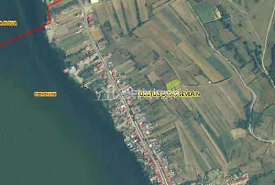 Coronini, Teren Drept, Vedere la Dunare, 1271 mp, 14,95 Euro Mp, Negociabil - 7