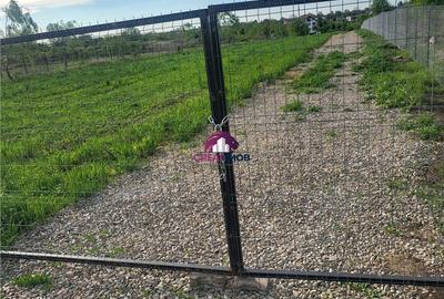 Teren 5600 mp Snagov Lac - 7