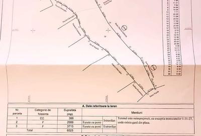 Casă cu 3 camere în Cerbu - 2