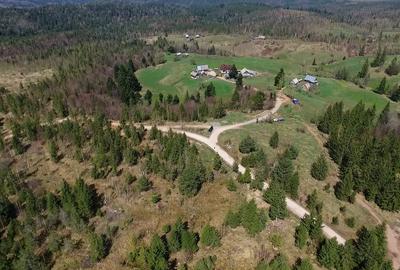 Teren intravilan 3,584mp Calatele Padure - 6