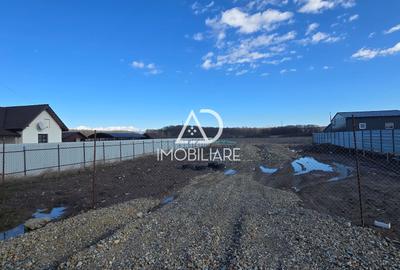 Teren extravilan de 2677 mp, în Drăguțești - 3