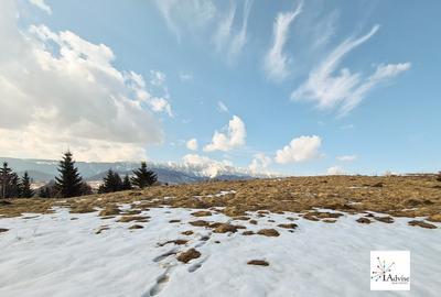 Teren De Vanzare In Sirnea - 20