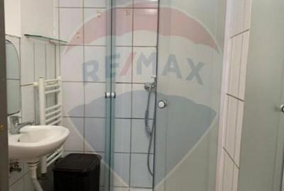 Inchiriere garconiera-zona Turnisor - 11