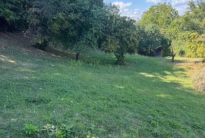 Teren de 2200 mp, în Central
